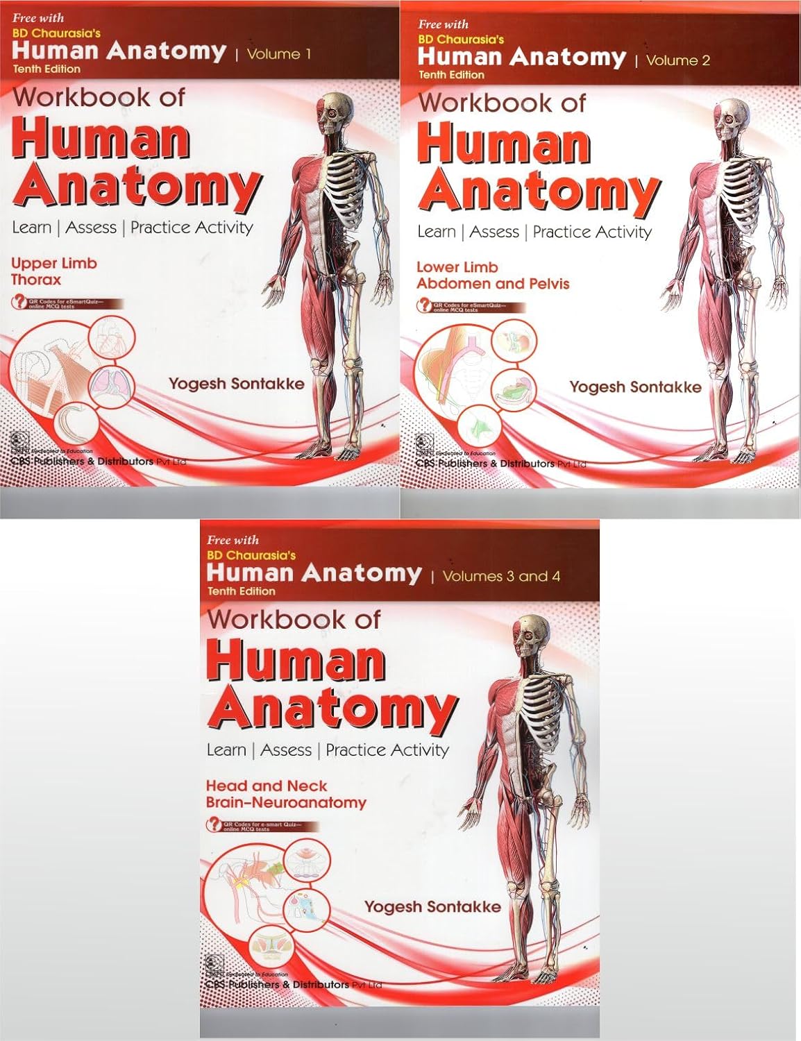 Bd Chaurasias Human Anatomy 10Ed 4 Vol Set (Pb 2025)