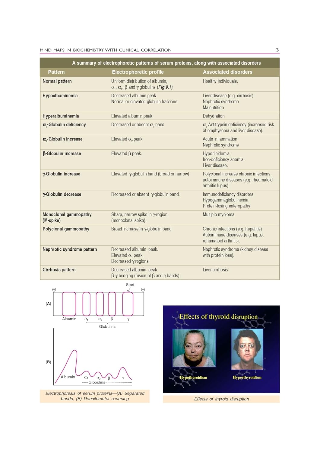 Biochemistry, 7th Silver Jubilee Edition | As per the latest NMC Guidelines | Packed Inside Free Mind Maps in Biochemistry with Clinical Correlation by U. Satyanarayana and U Chakrapani